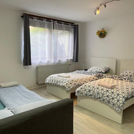 Duesseldorf Messe, 2-Bedroom Duplex Apartment With Terrace And Garden Exterior photo